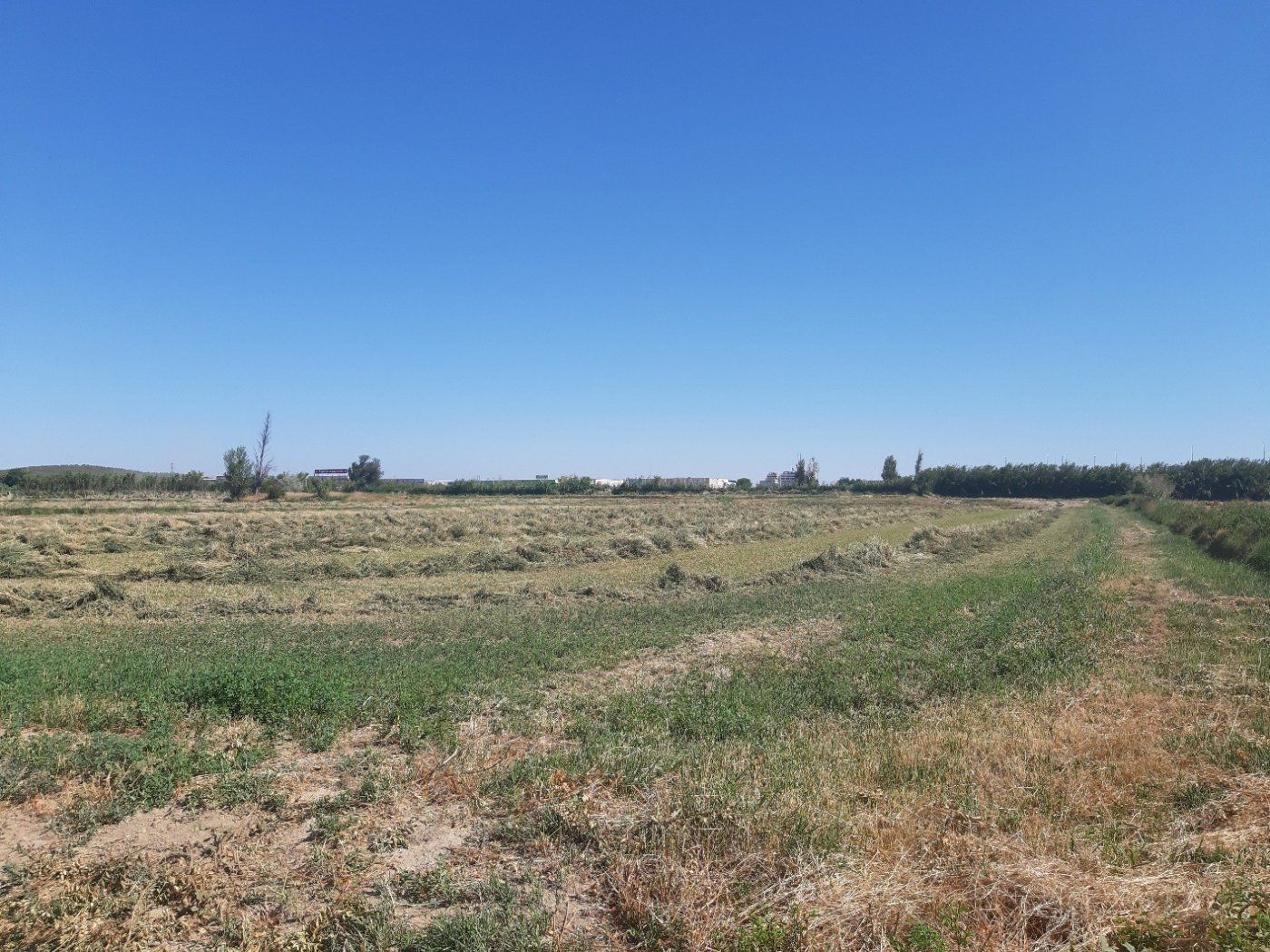 Terreno en venta en  Zaragoza Capital