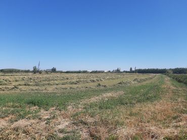 Terreno rustico in vendita a Barrios rurales del norte