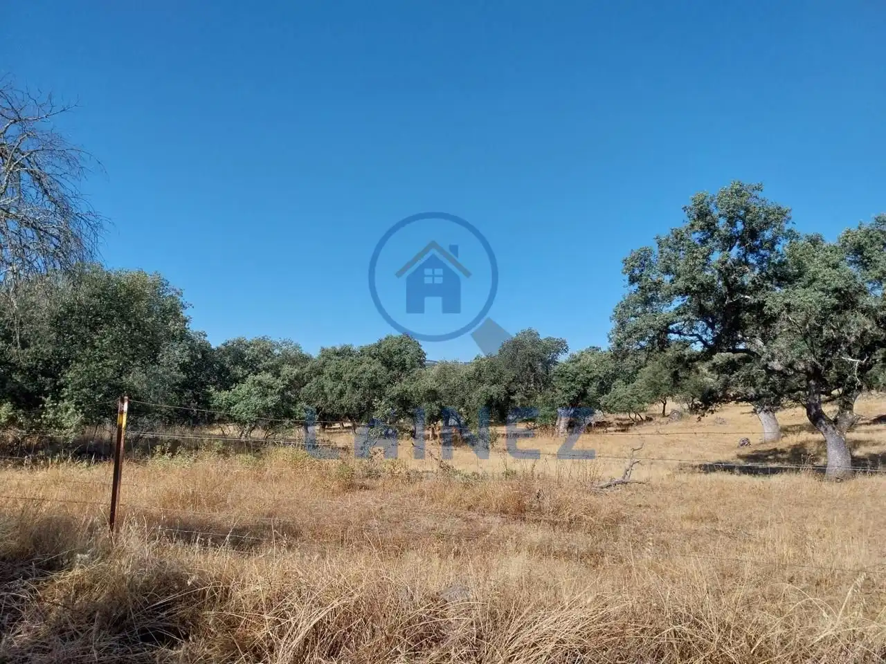 Lands and plots for sale in Fuente Obejuna, imagen 34