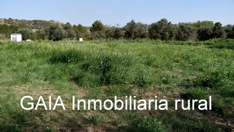 Terreny rústic en venda a Maella, imagen 3