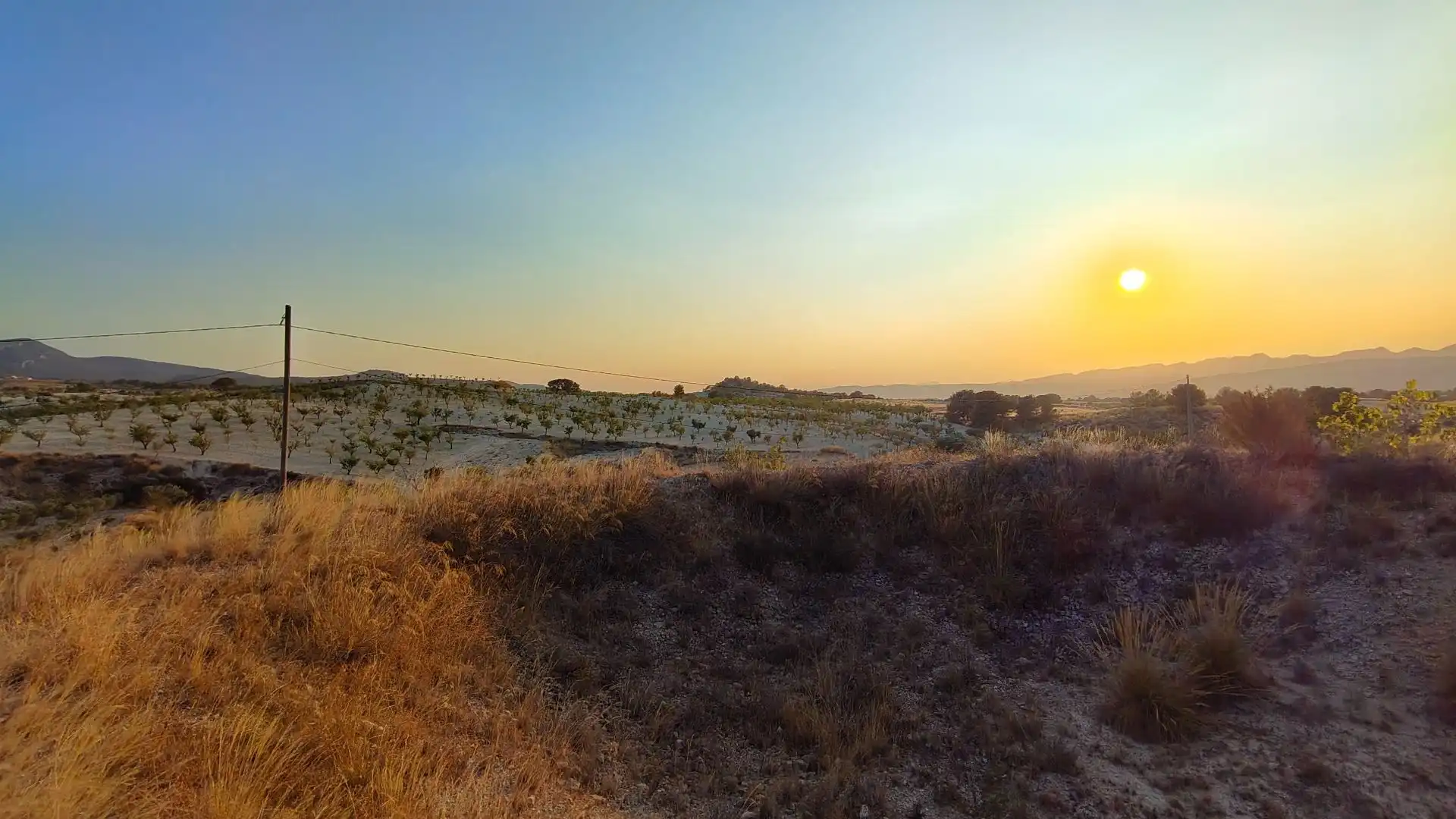 Terreno rustico in vendita a Jumilla, imagen 6
