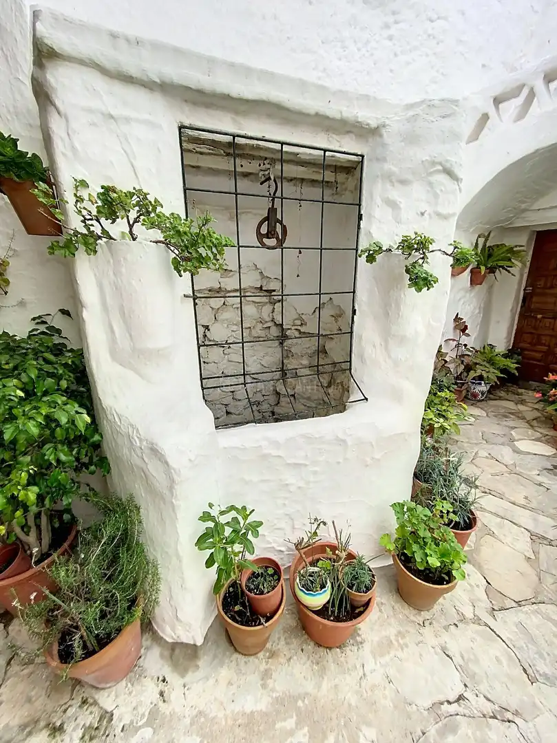 Jardí de Casa o xalet en venda en Medina Sidonia amb Terrassa, Moblat i Balcó