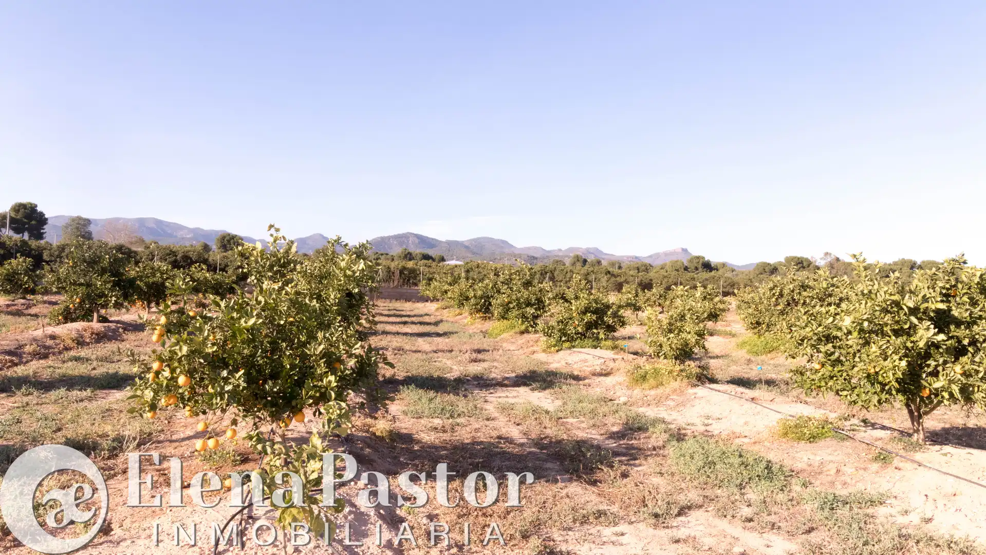 Terreno en venta en Bétera