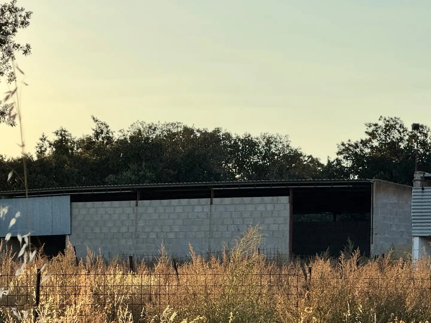 Vista exterior de Terreno en venta en La Orbada 