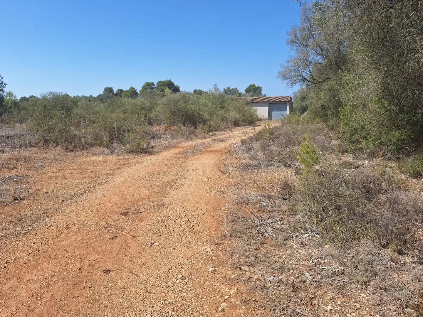 Terreno rustico in vendita a Algaida, imagen 3