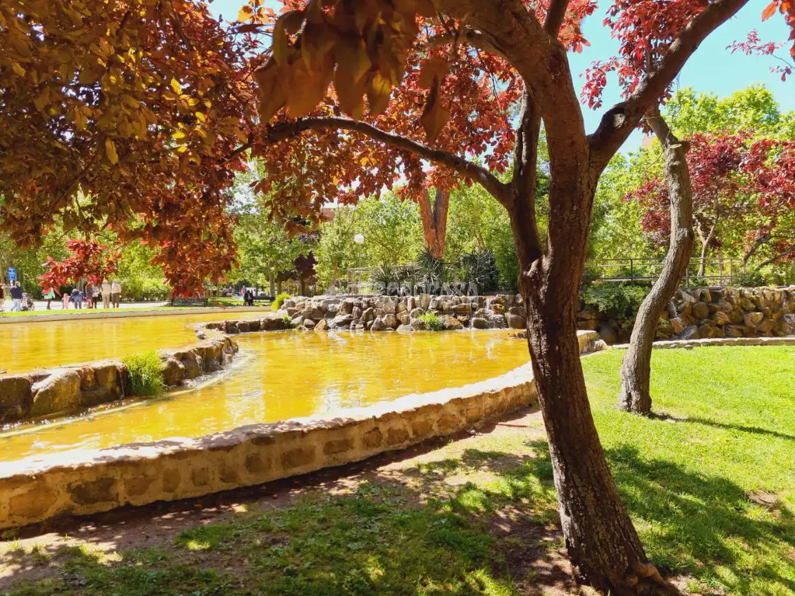 Garden of Flat for sale in Madrid  with Air Conditioner and Terrace