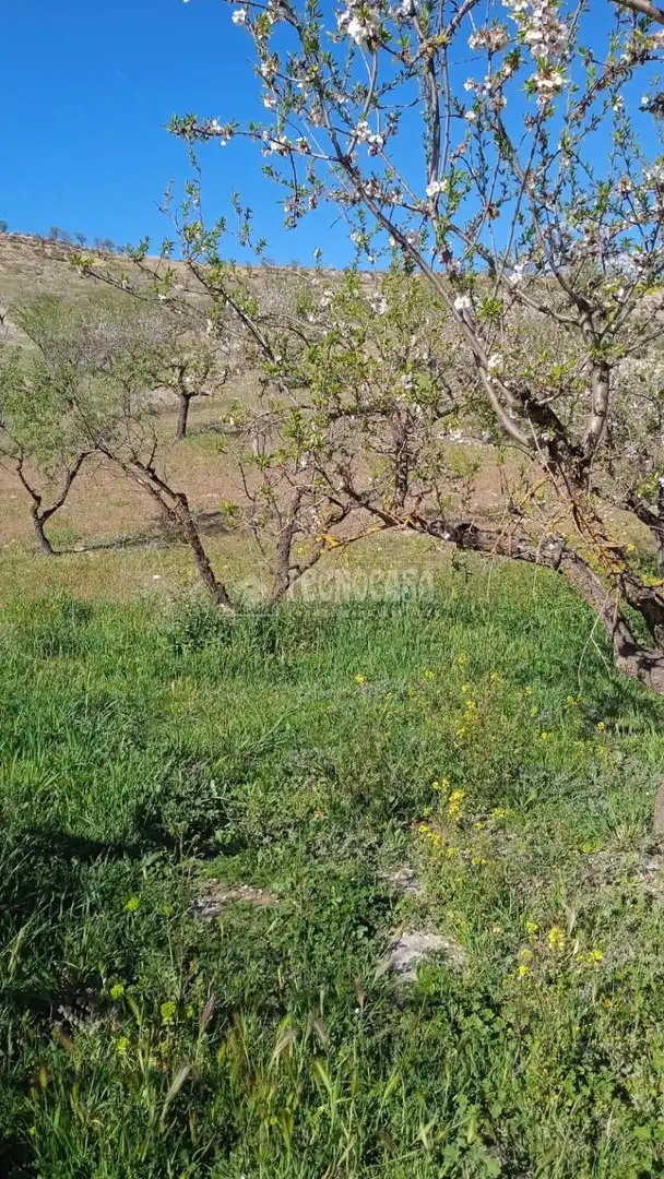 Rustikales Grundstück zum Verkauf in Gójar, imagen 8