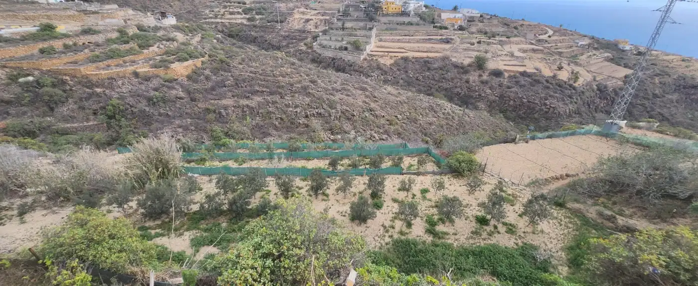 Terreno rustico in vendita a Vial Camino, imagen 3