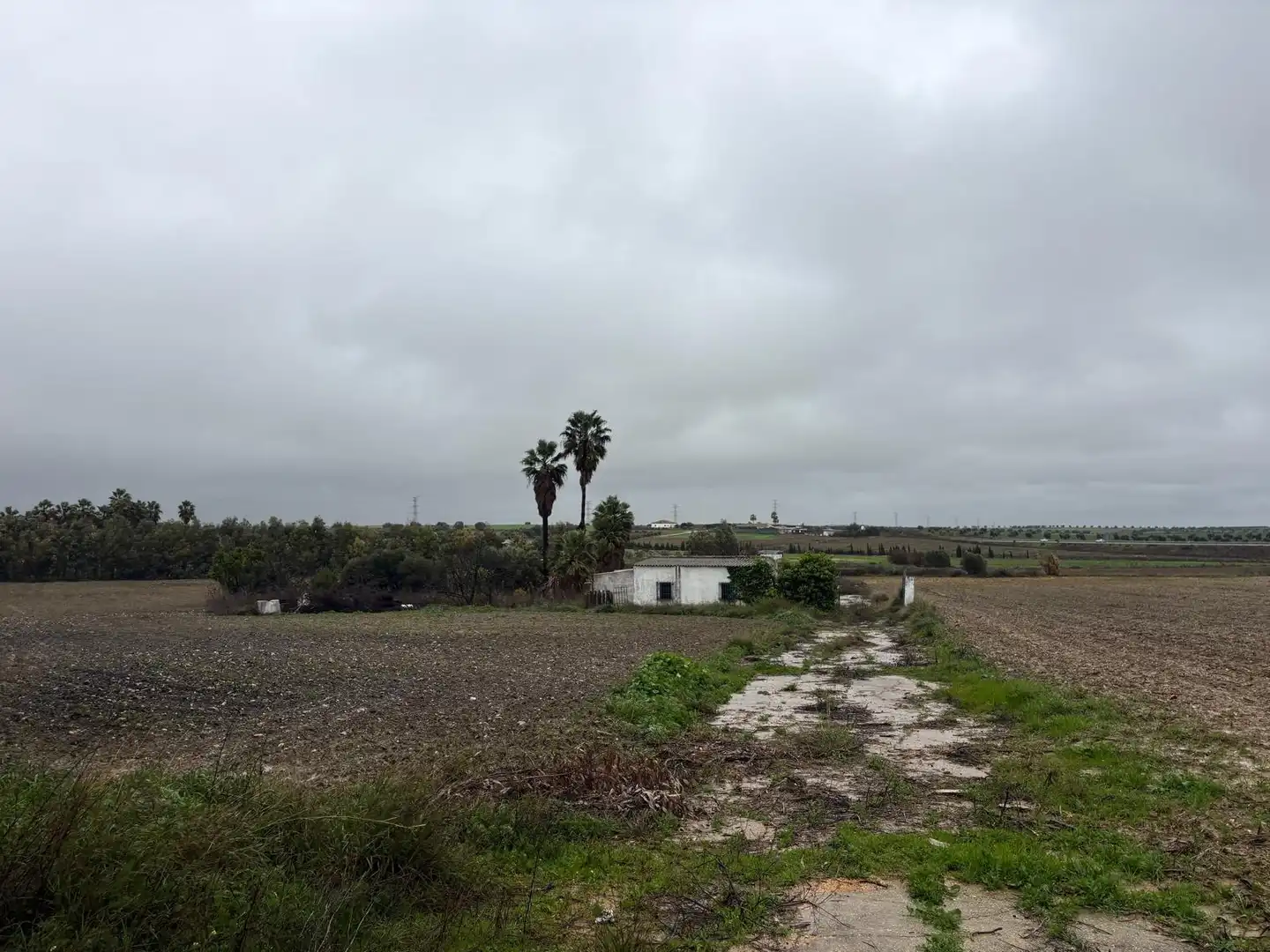 Terreno rustico in vendita a La Orden, imagen 5