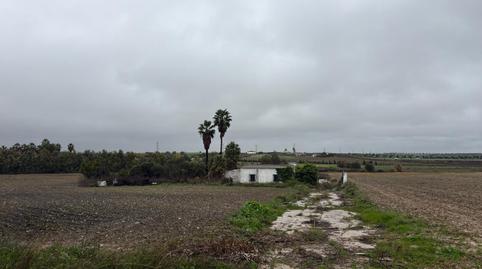 Photo 5 of Land for sale in La Orden,  Huelva Capital