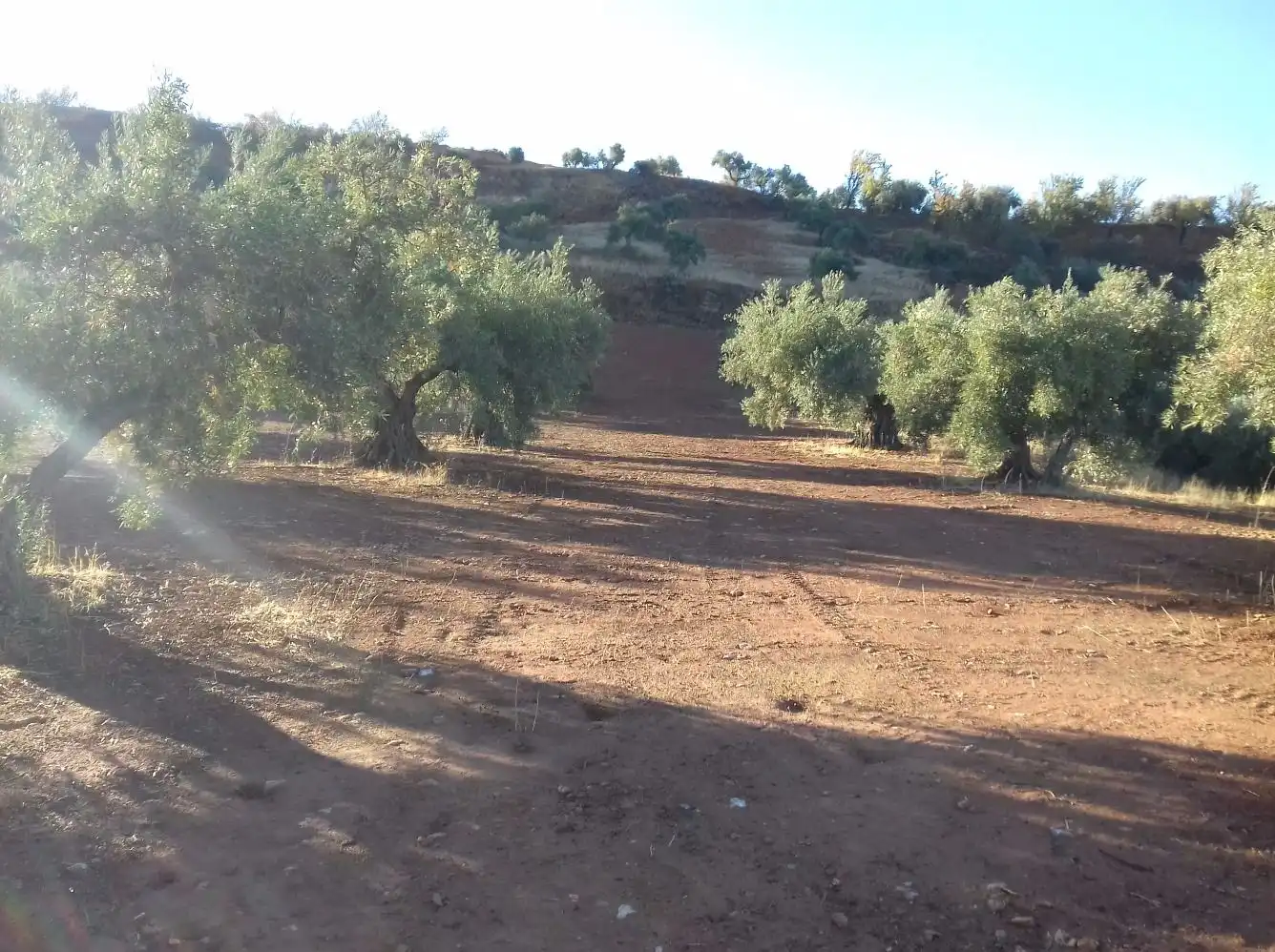 Terreno en venta en Paseo Peńon de la Mata, Cogollos de la Vega