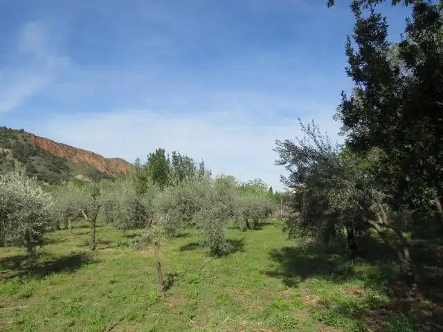 Terreno en venta en Cenes de la Vega
