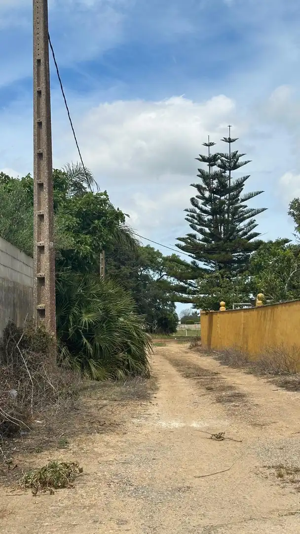 Finca rústica en venda en Conil de la Frontera