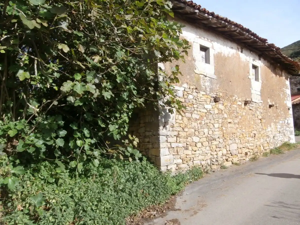 Maison à vendre à Grado, imagen 3