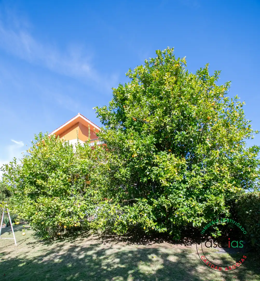 Vista exterior de Casa o chalet en venta en Villaviciosa con Calefacción, Jardín privado y Parquet