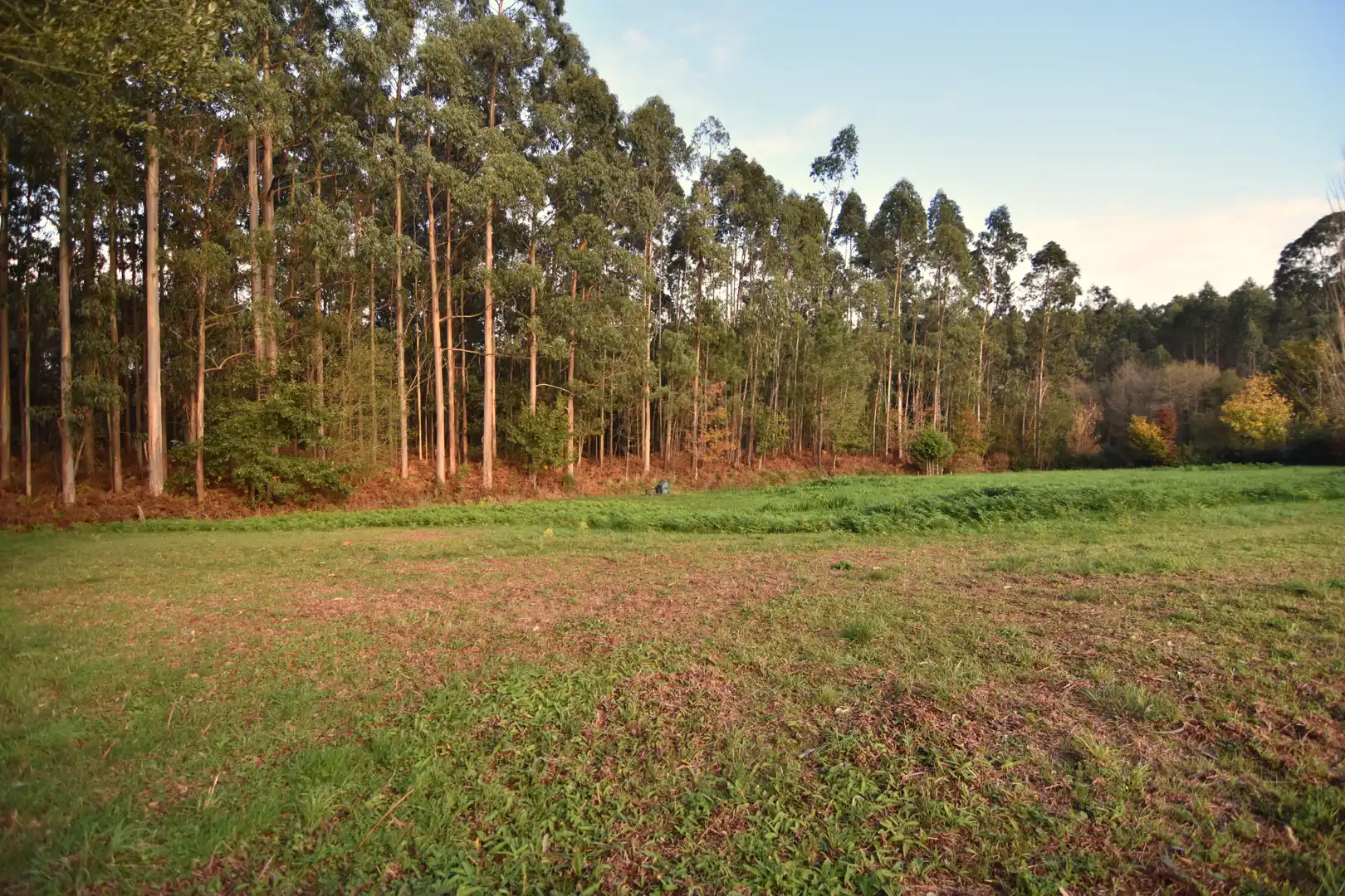 Houses for sale in Narón  with Heating, Private garden and Storage room