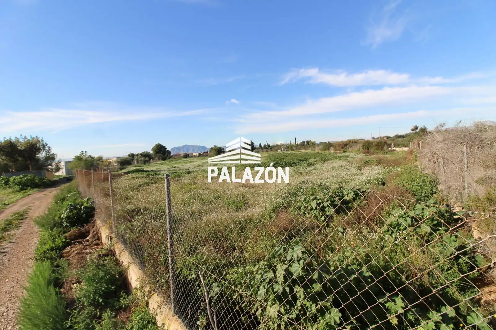 Terreno rustico in vendita a Crevillent, imagen 6