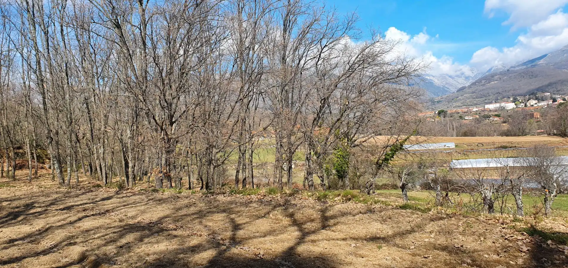 Terreni e lotti in vendita a Jarandilla de la Vera, imagen 5