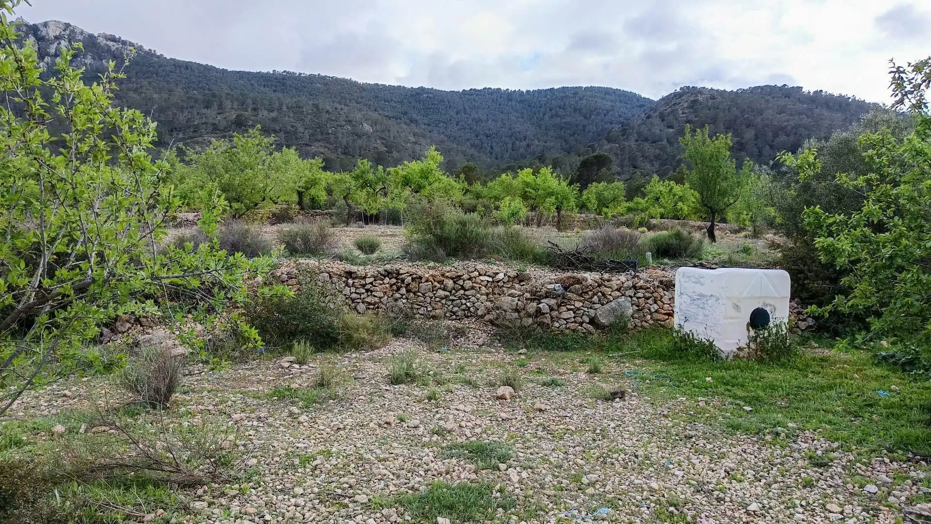 Haus mit Garten zum Verkauf in Hondón de las Nieves / El Fondó de les Neus, imagen 5