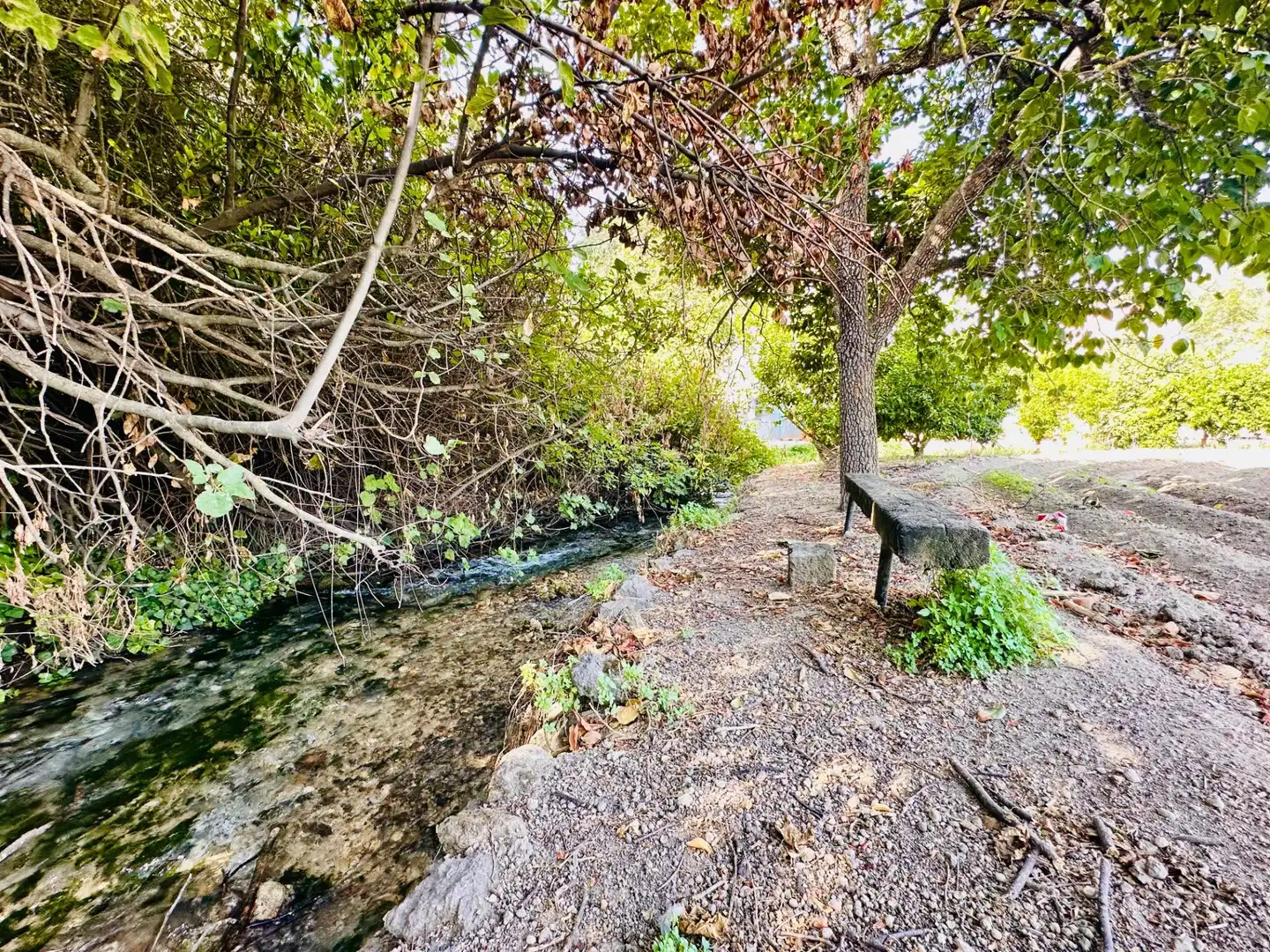 Vista exterior de Finca rústica en venda en Loja amb Jardí privat, Terrassa i Traster