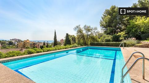 Photo 2 of Apartment to share in Cala Major, Illes Balears