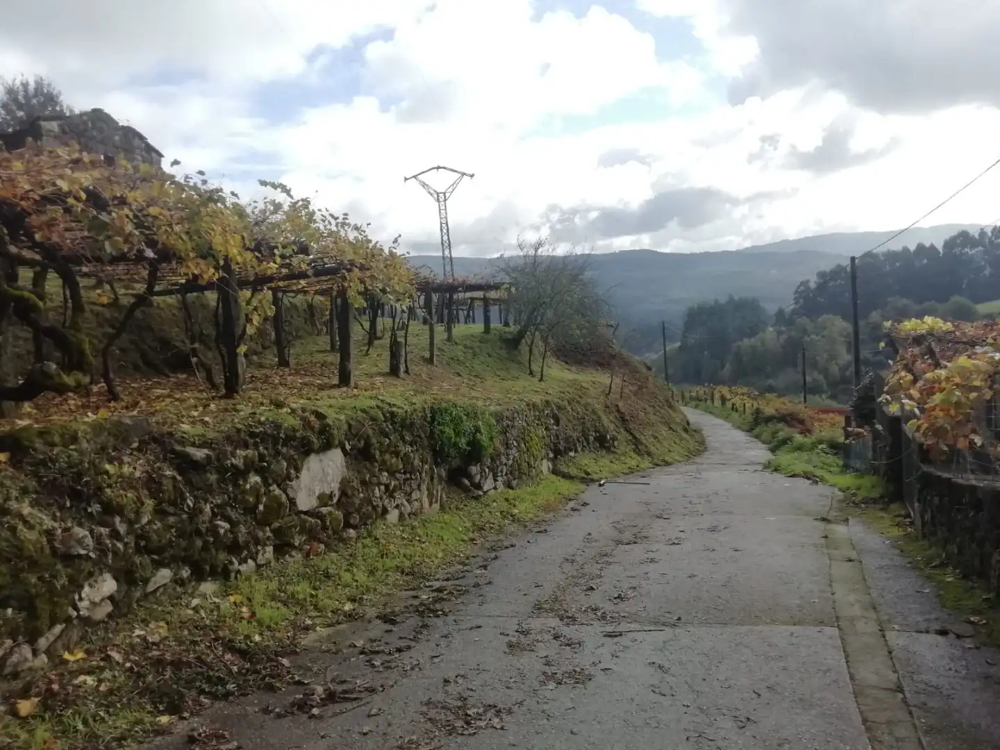 Vista exterior de Terreno en venta en Campo Lameiro, Pontevedra