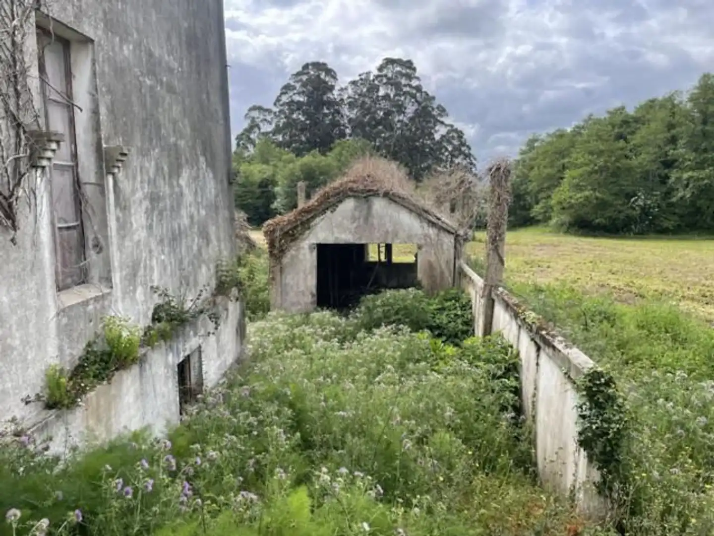 Vista exterior de Casa o xalet en venda en Cariño amb Jardí privat