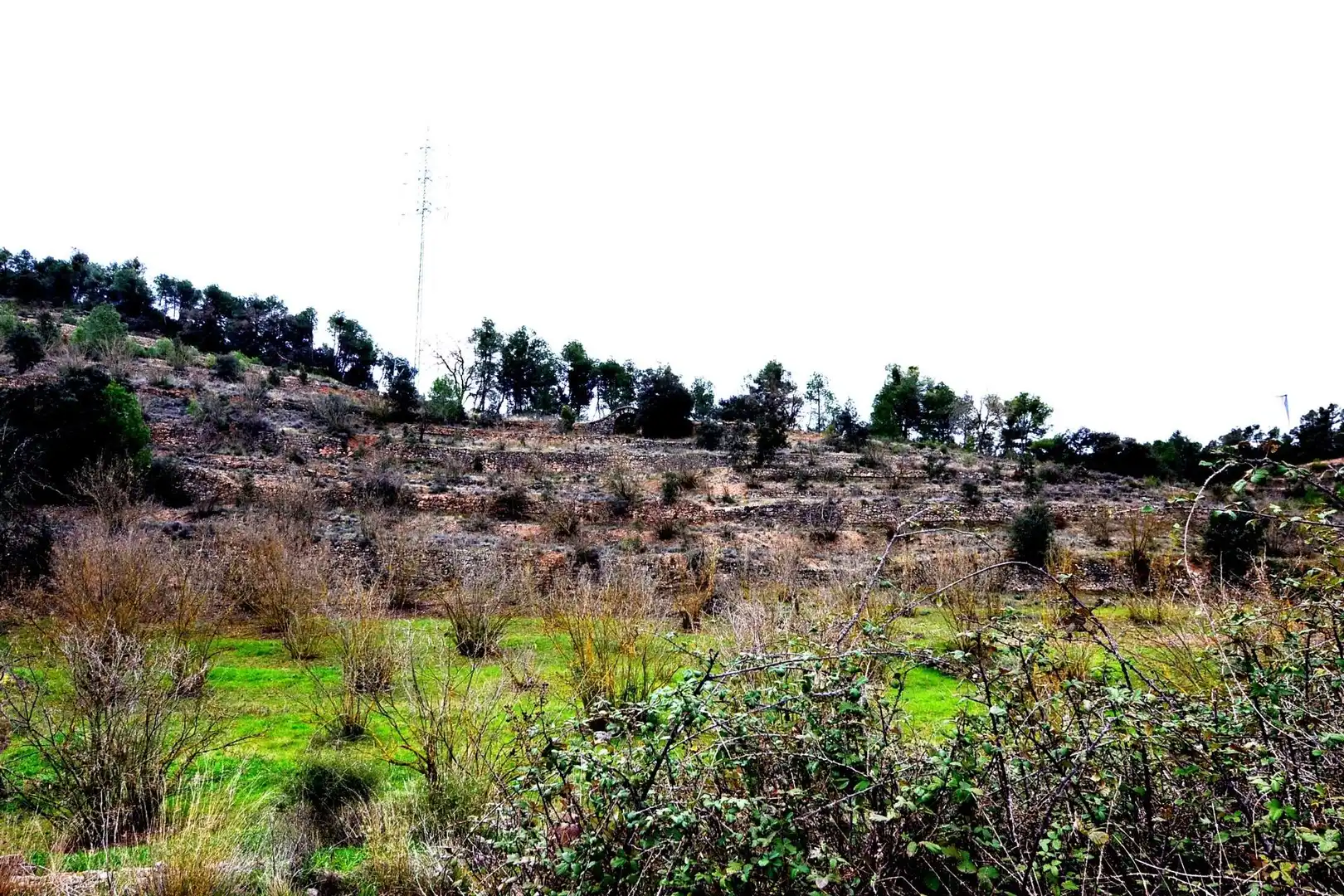 Terreno en venta en Vilalba dels Arcs