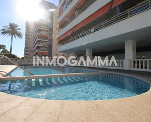 Swimming pool of Apartment to rent in Cullera  with Air Conditioner, Furnished and Community pool