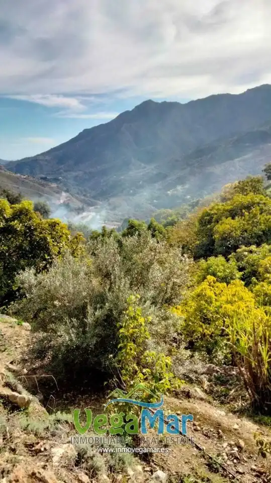 Casa rústica en venta en Los Guájares, imagen 4