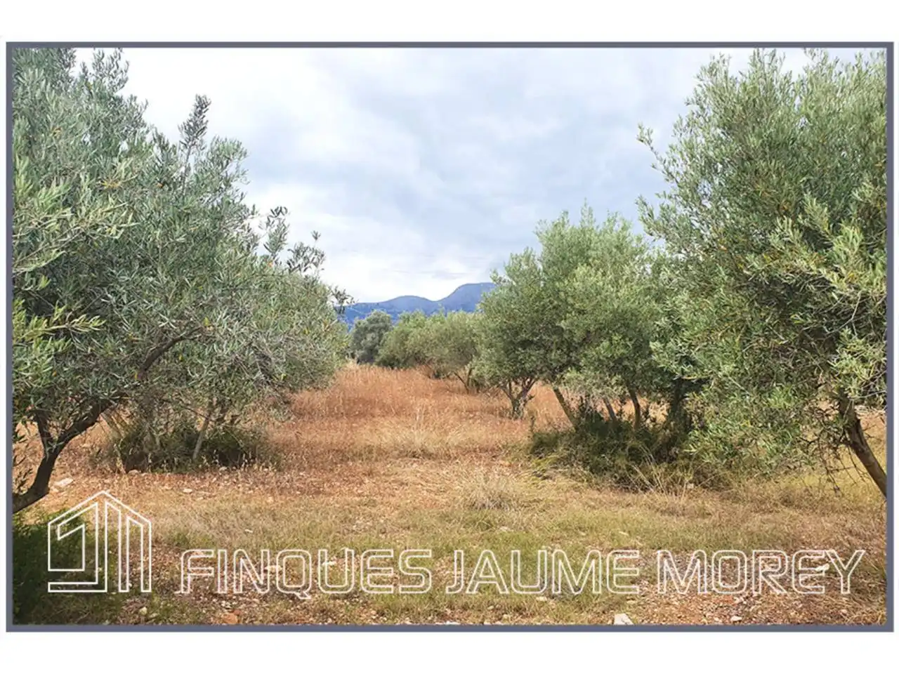 Terrain rustique à vendre à Poligono 10 S/N, imagen 5