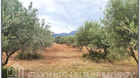 Terreno en venta en Selva, imatge 5