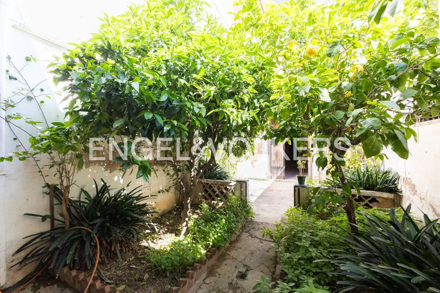 Houses for sale in Alfafar