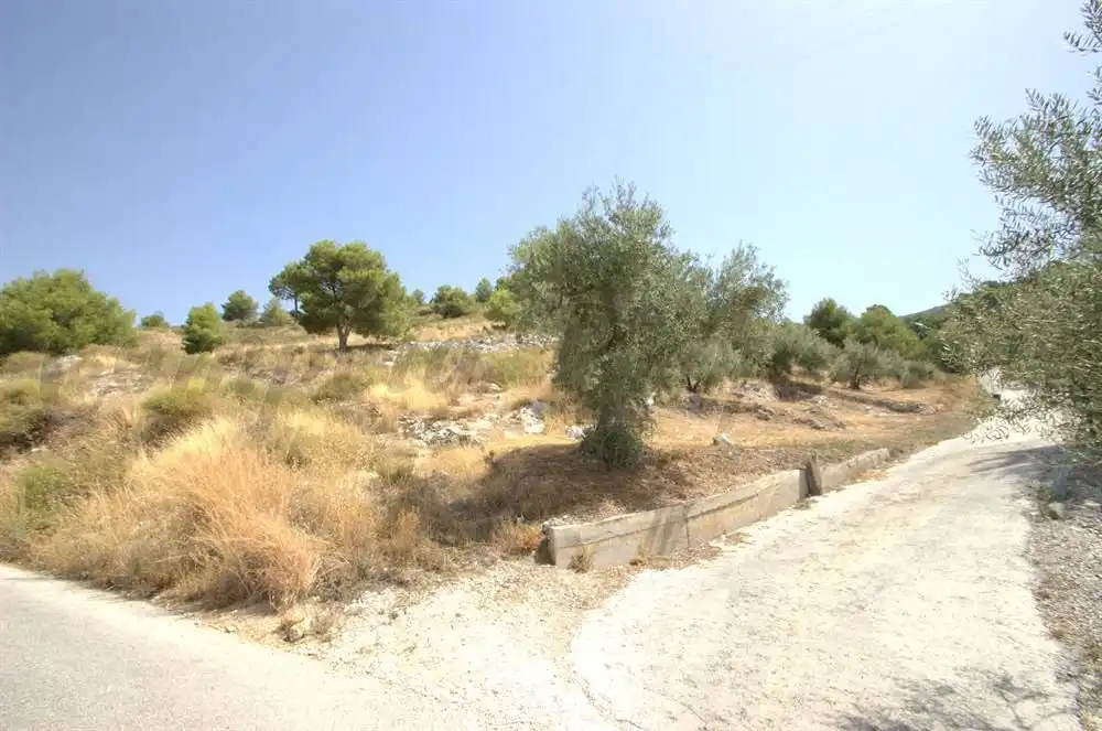 Terreny rústic en venda a Canillas de Albaida, imagen 3
