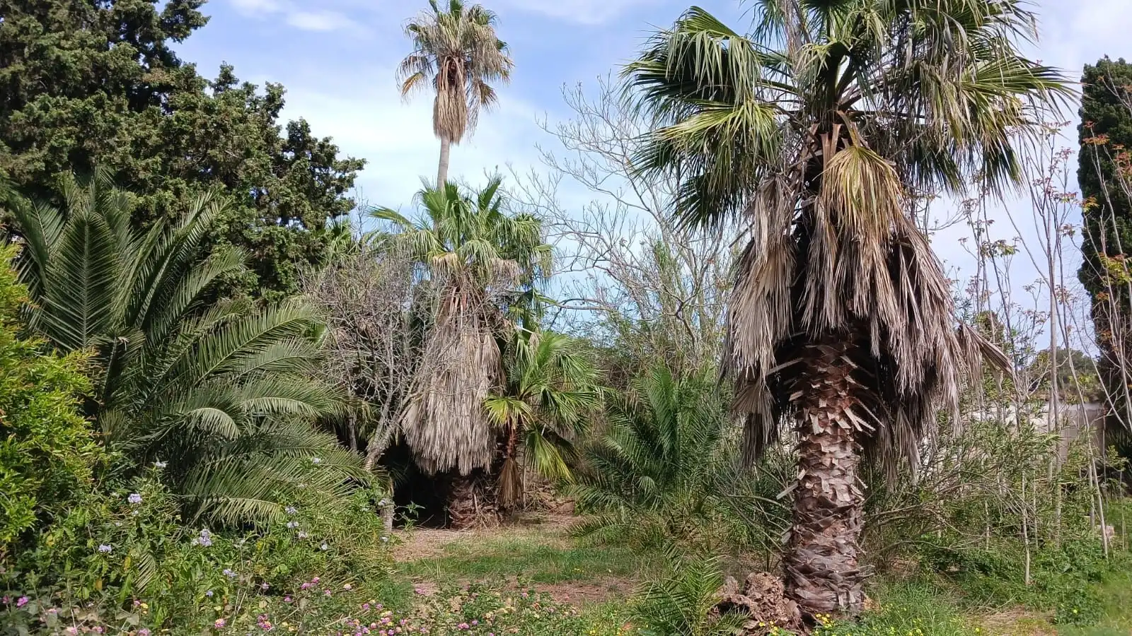 Casa o chalet en venta en Dénia con Aire acondicionado, Calefacción y Jardín privado