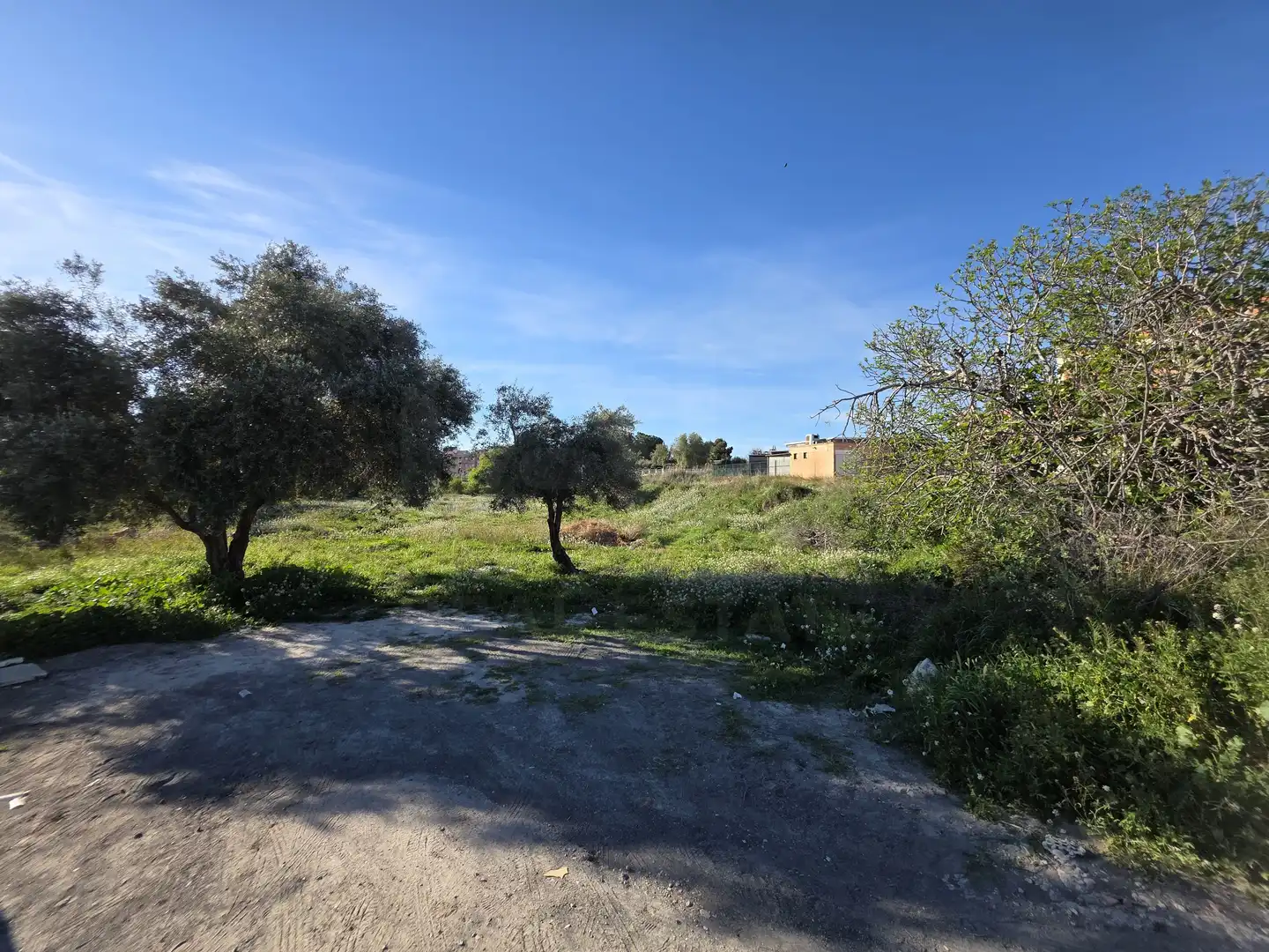 Terreny rústic en venda a Calasparra, imagen 5