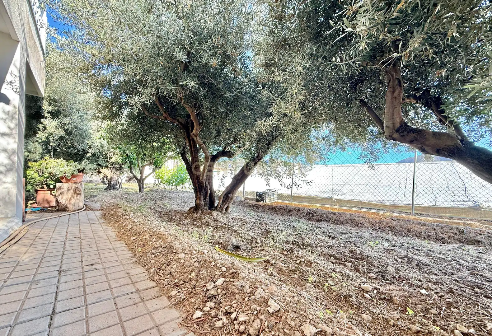 Casa amb jardí en venda a Berja, imagen 18