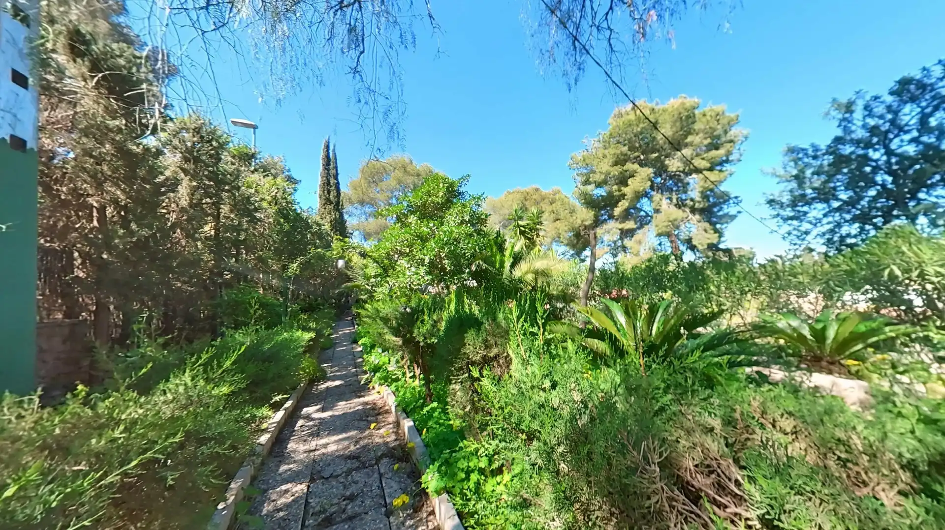 Jardín de Finca rústica en venta en Murcia con Jardín privado, Trastero y Piscina