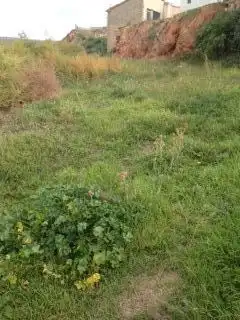 Casa o xalet en venda en La Cerollera amb Calefacció, Jardí privat i Terrassa