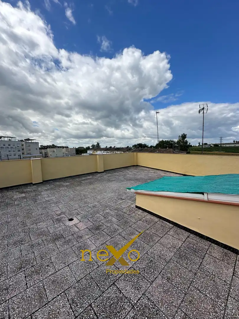 Maison avec terrasse à vendre à Lora del Río, imagen 23