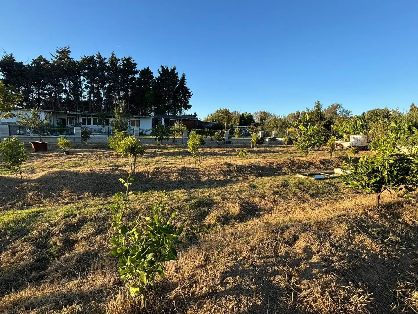 Rustikales Grundstück zum Verkauf in Los Barrios, imagen 4