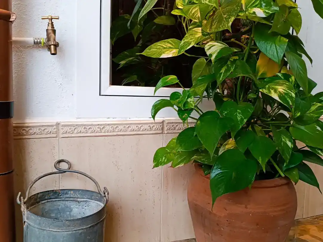Terrassa de Pis en venda en Arcos de la Frontera amb Aire condicionat i Balcó