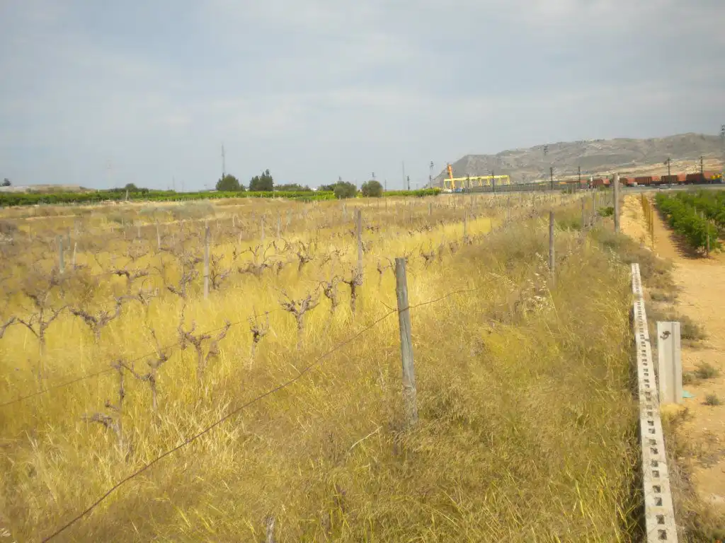 Rustikales Grundstück zum Verkauf in Monforte del Cid, imagen 3
