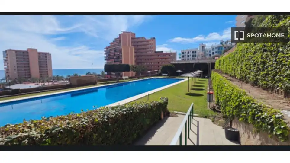 Swimming pool of Apartments for share in Elche / Elx  with Air Conditioner, Terrace and Furnished