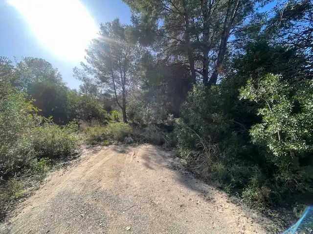 Rural land for sale in Albalat dels Tarongers, imagen 6