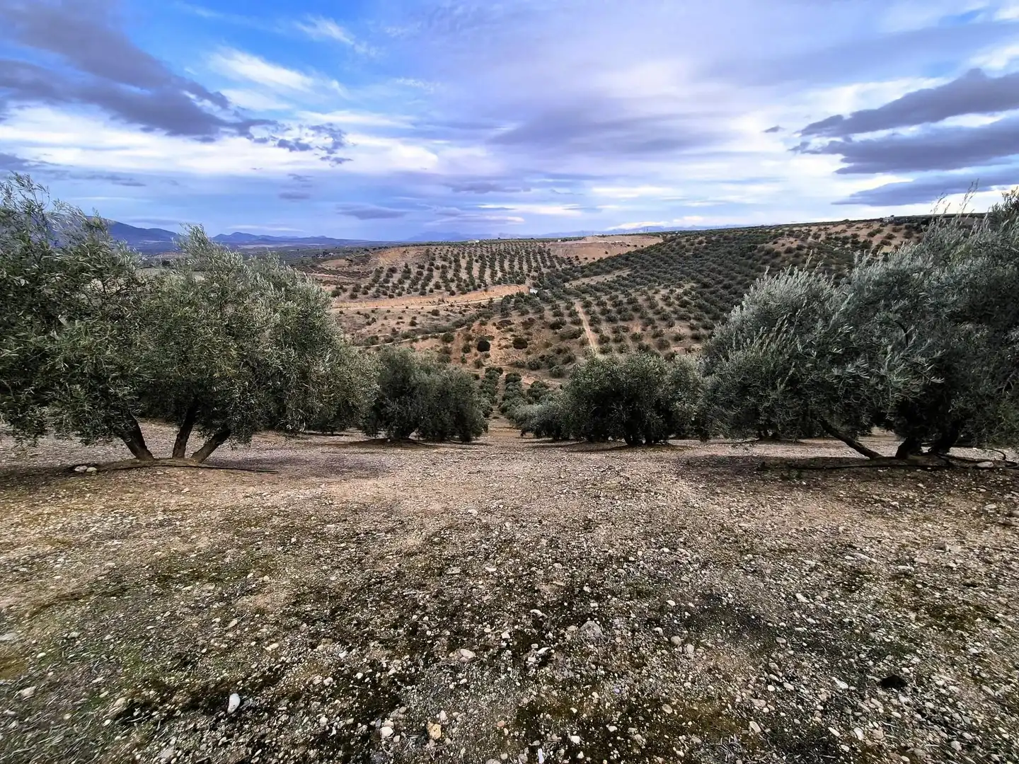 Rural land for sale in Huétor Tájar, imagen 9