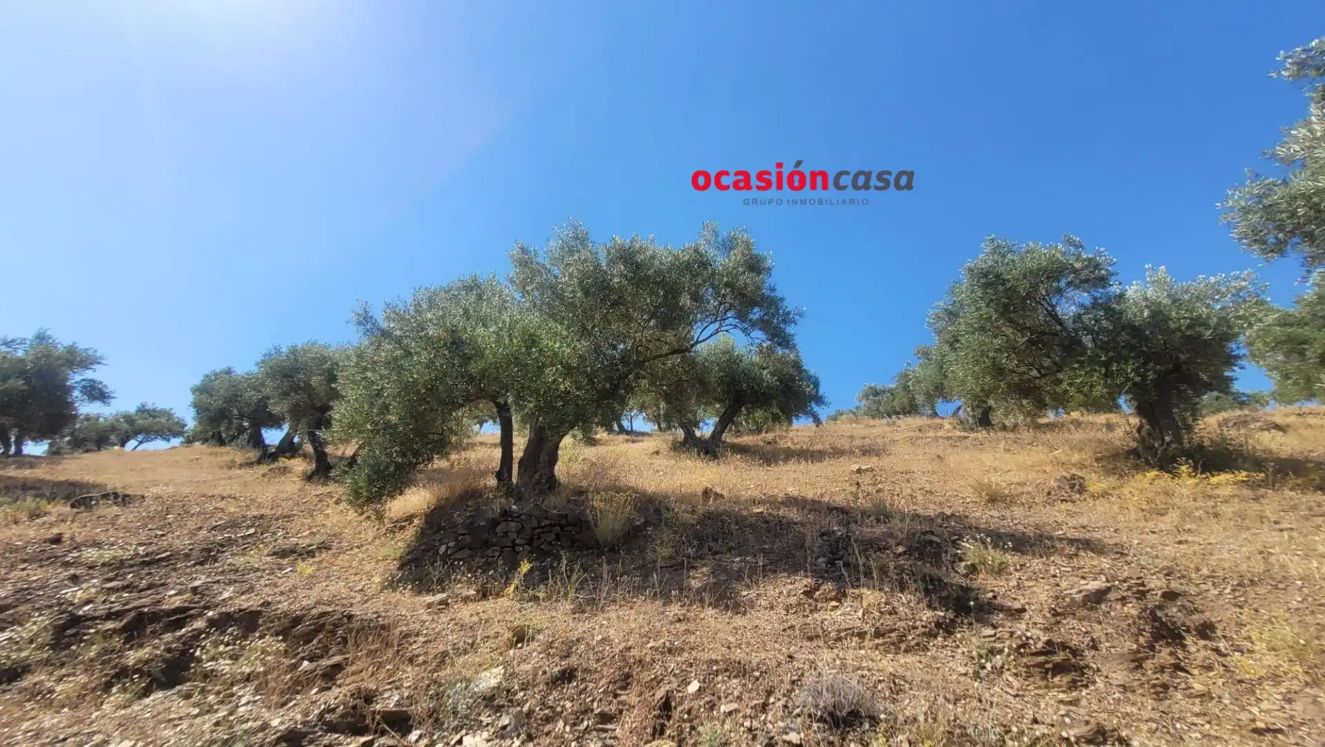 Finca rústica en venda en Pozoblanco amb Traster