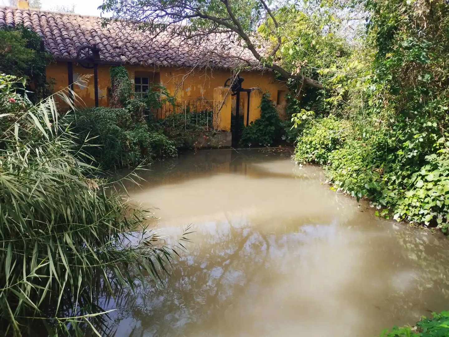 Jardín de Finca rústica en venta en Morata de Jiloca, Zaragoza