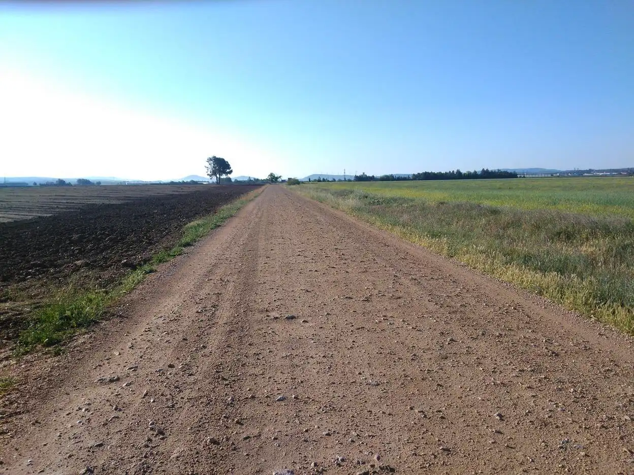 Terreny rústic en venda a Paraje la primera Mancorra, imagen 9