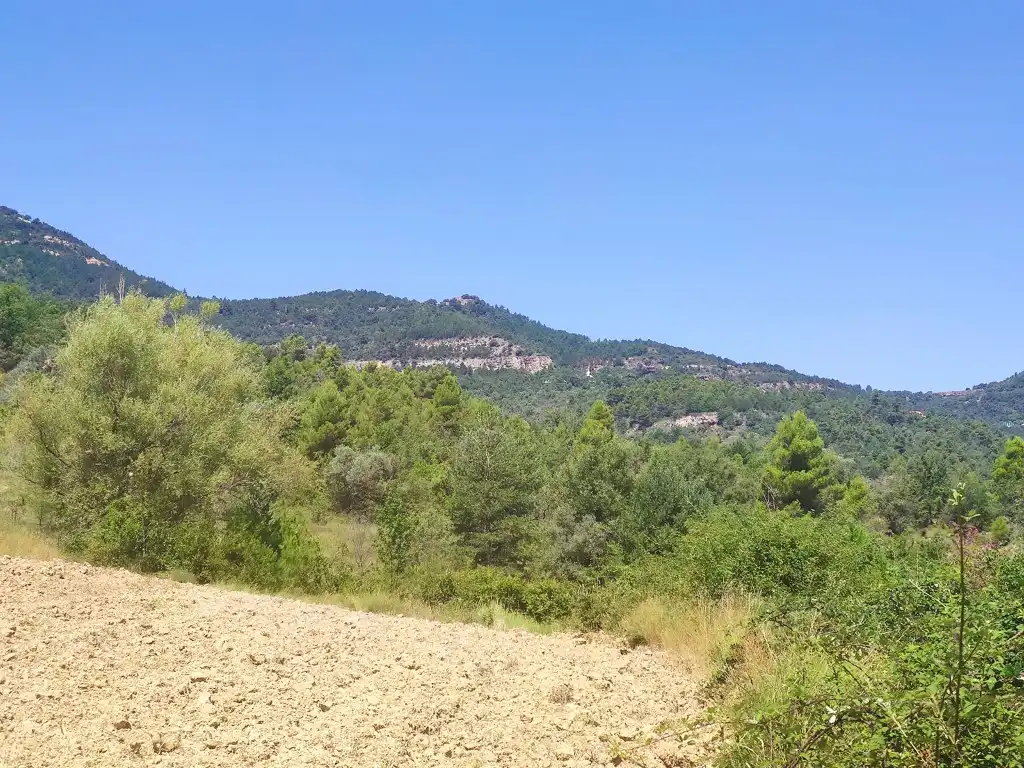 Residential for sale in Graus